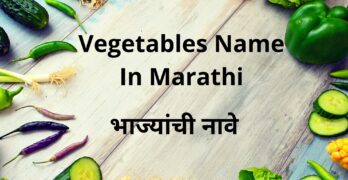 Vegetables name in marathi