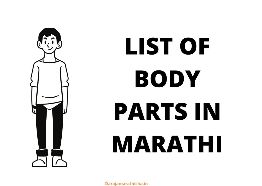 LIST OF BODY PARTS IN MARATHI