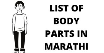 LIST OF BODY PARTS IN MARATHI