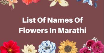 List Of Names Of Flowers In Marathi