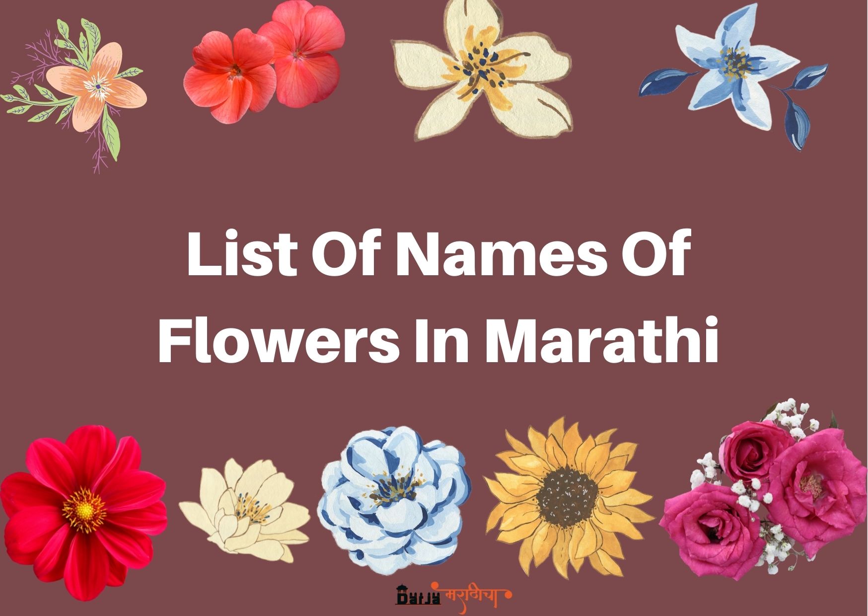 List Of Names Of Flowers In Marathi Flowers Name In Marathi 